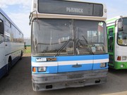 2 автобуса МАЗ 104.031 и ИКАРУС 250-59
